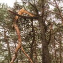 28 09 Gert Winkler 001